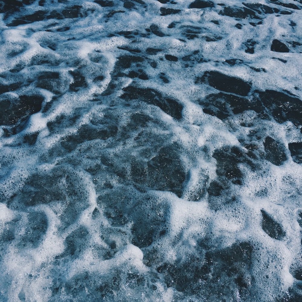 Meet your Posher, Daizey